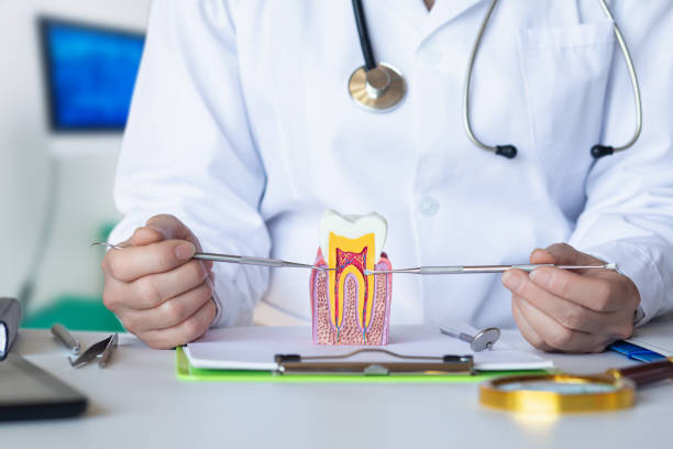 Best Emergency Orthodontic Repairs in Goldstream, AK